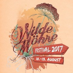 Mehr is Mehr @ Wilde Möhre Festival 2017 / Halle