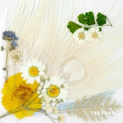 [Full Audio] TAEYANG (태양) - 오늘밤 (TONIGHT) (feat. ZICO) [3RD ALBUM 'WHITE NIGHT'].mp3