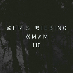 AM/FM 110