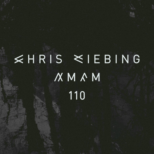 AM/FM 110