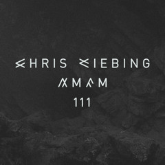 AM/FM 111