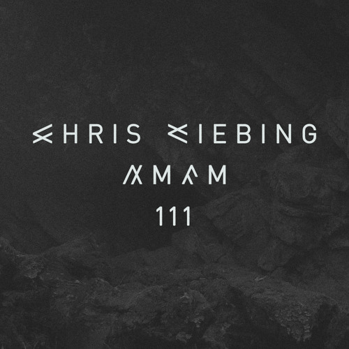 AM/FM 111