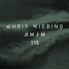 AM/FM 115