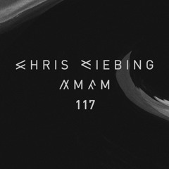 AM/FM 117