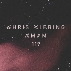 AM/FM 119