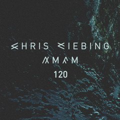 AM/FM 120