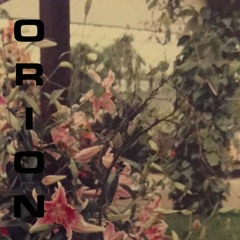 CDooEIGHTEEN / WM-008 Orion -Last