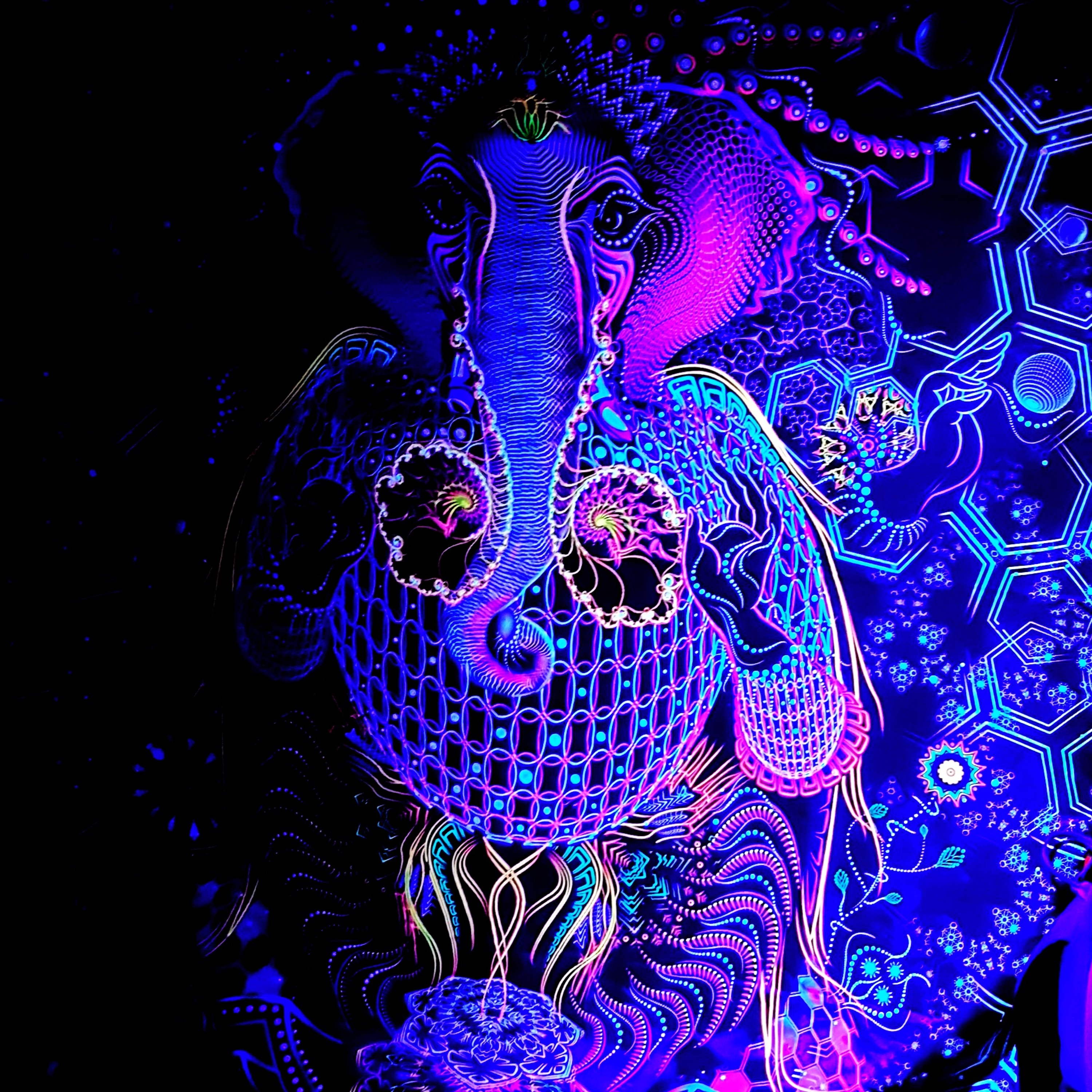 PsyloBean Podcast