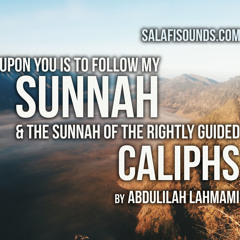 Upon You Is To Cling To My Sunnah By Dr. Abdulilah Lahmami