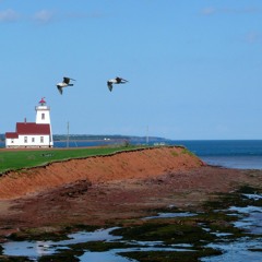 Prince Edward Super Island