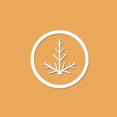 Motorola [Prod. By Roland JoeC]