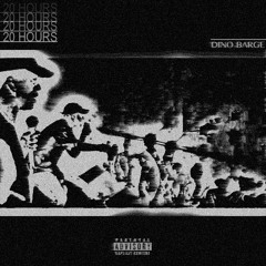 20 HOURS