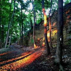 Melas Chasm (Bile raw acoustic cover)