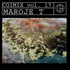 CGIMIX vol. 17 - Maroje T