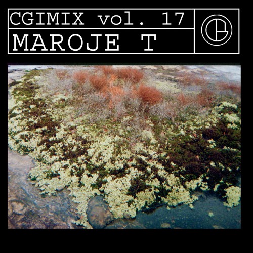 CGIMIX vol. 17 - Maroje T