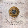 Whitesnake - Still Of The Night (Live On Tour 1987-88)