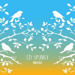 Ed Spunky @ Frolic Campout 2017 - Saturday Poolside