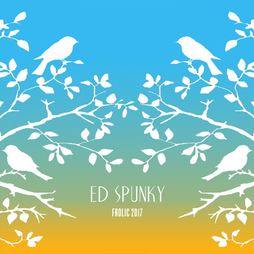 Ed Spunky @ Frolic Campout 2017 - Saturday Poolside