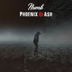 Phoenix Ash - Numb (Cover)