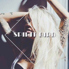 Xavier Rudd - Spirit Bird (Nico Casceur Remix)