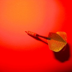 The Woman You Want Her To Be