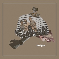 Insight