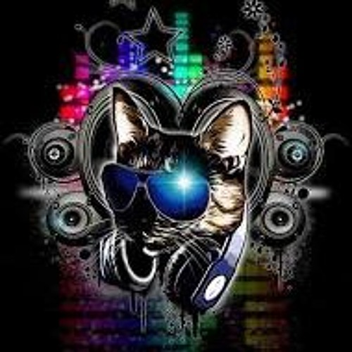 SHOULD HAVE PLAYED CAMPVENTION DNB MIX