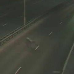 Love Among the Immortals