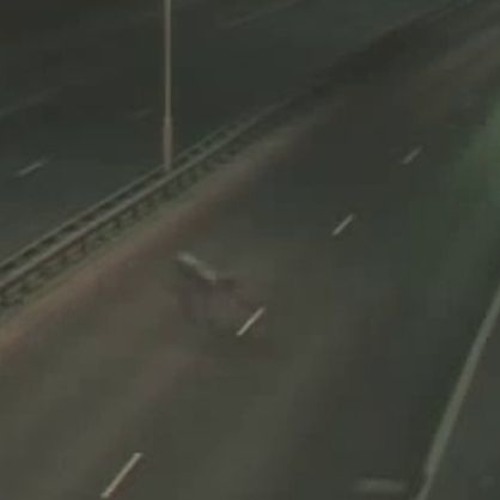 Love Among the Immortals