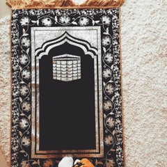 تلاوة بصوت عمير شميم