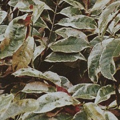 needyouhere (spotify)