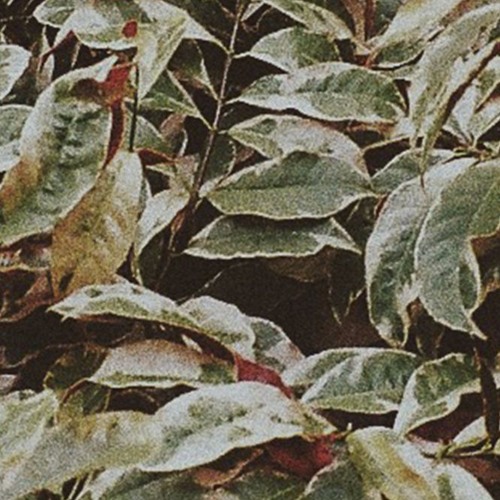 needyouhere (spotify)