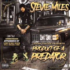 Stevie Miles - Crossroad ft. Ray Casper & SickTanicK