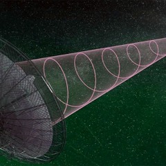 Searching For Signal (77)