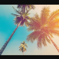 Soulo Smith - Palm Trees