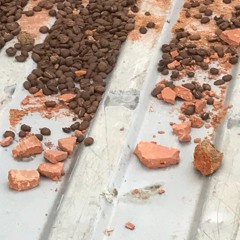 Guatemalan Insomniac Warriors