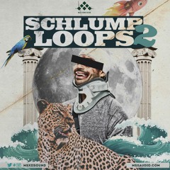 Schlump Loops 2 Demo
