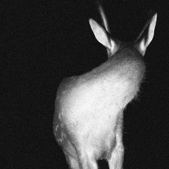 When the shit hits the fan