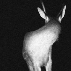 The Mist of your Mind