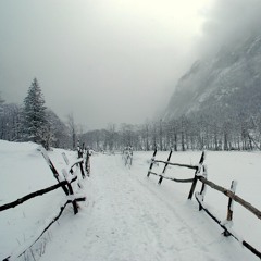Winter Trail