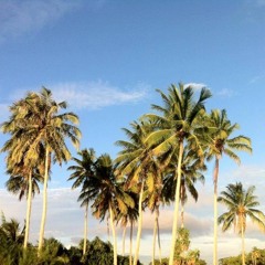 Iroij kwon letok beim