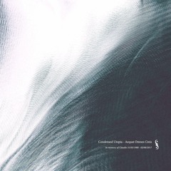04 Condensed Utopia - Sator Abstentia