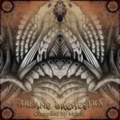 Perihelion -238 - (V/A Arcane Orchestra)