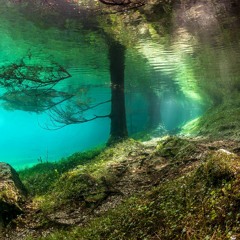 In the shadow of glass