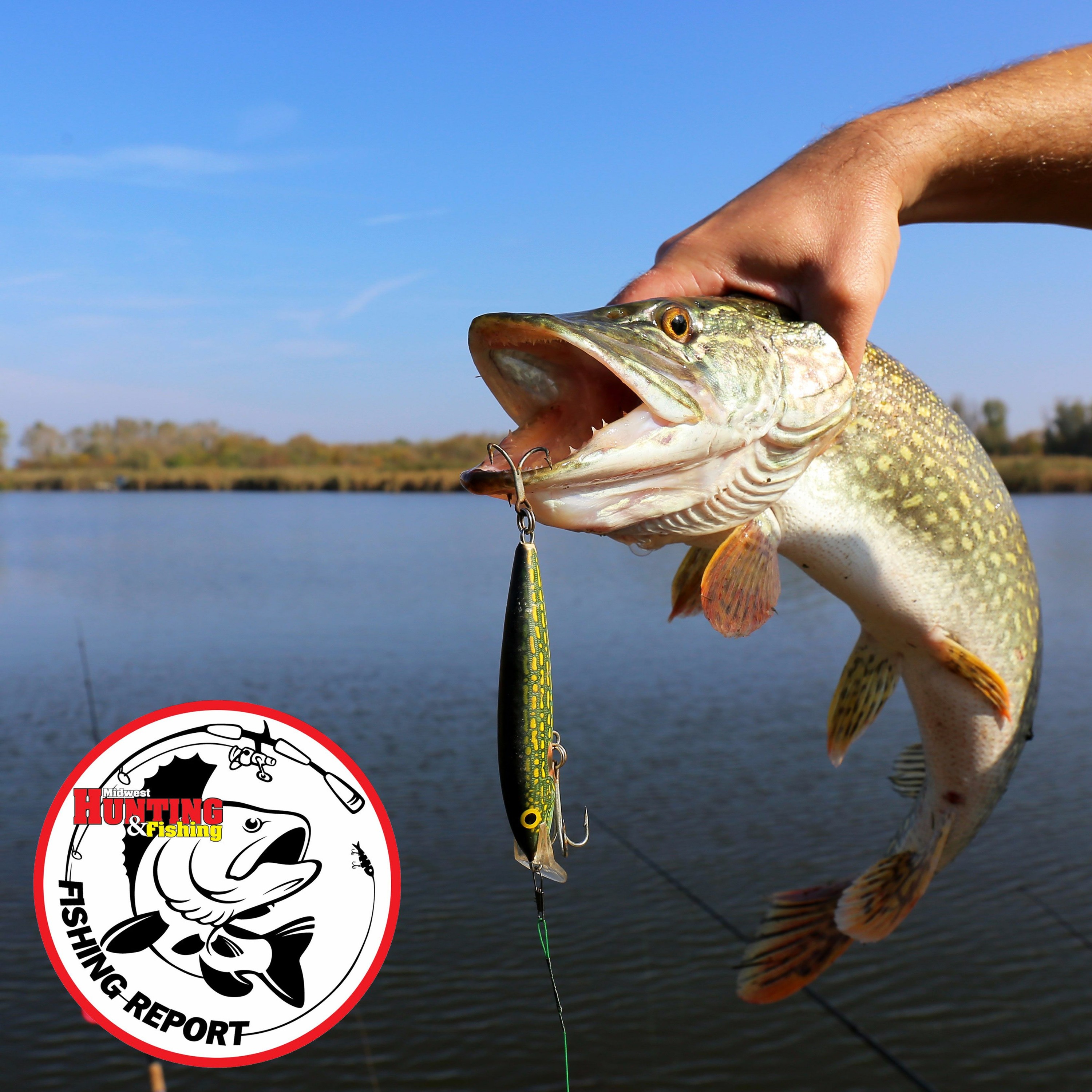 Fishing Report 08/17/17