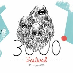 Douglas Greed - 3000 Grad Festival 2017 - DJ Set - live recording