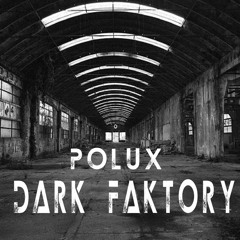DARK FACTORY-POLUX LEDS