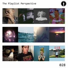The Playlist Perspective 028