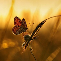 Когда-нибудь мы начнем просыпаться вместе