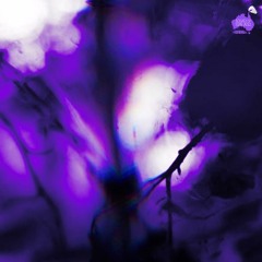 Brennan Savage x Wavy Jone$ - Insomniac [Chopped & Screwed] PhiXioN